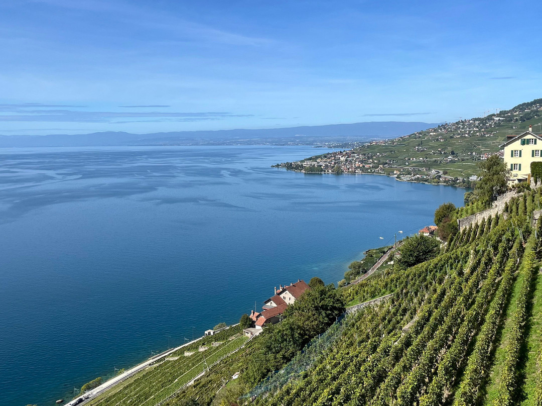 拉沃葡萄园梯田-蒙特勒必去景点