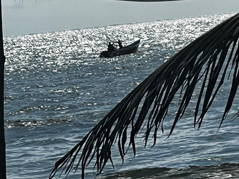 Palmazul Hotel & Spa主图