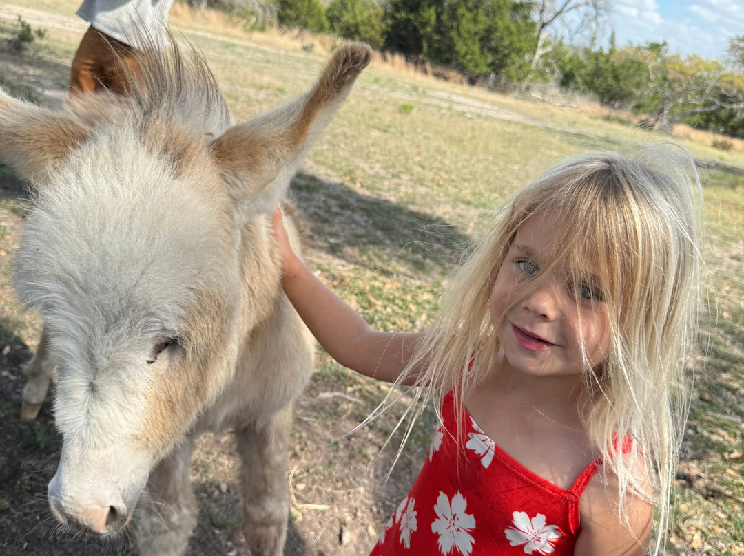 Grapetown Vineyard-弗雷德里克斯堡必去景点