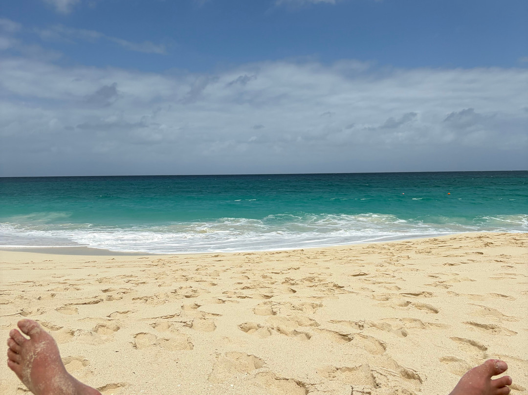 天堂岛海滩俱乐部主图