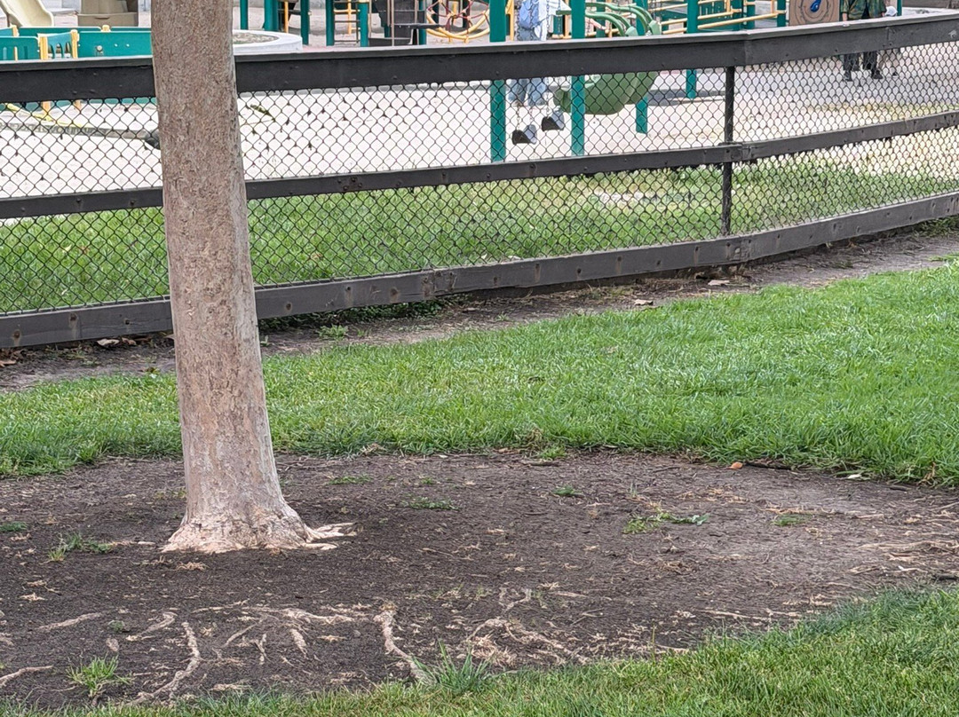 Everett Alvarez Park-圣克拉拉必去景点