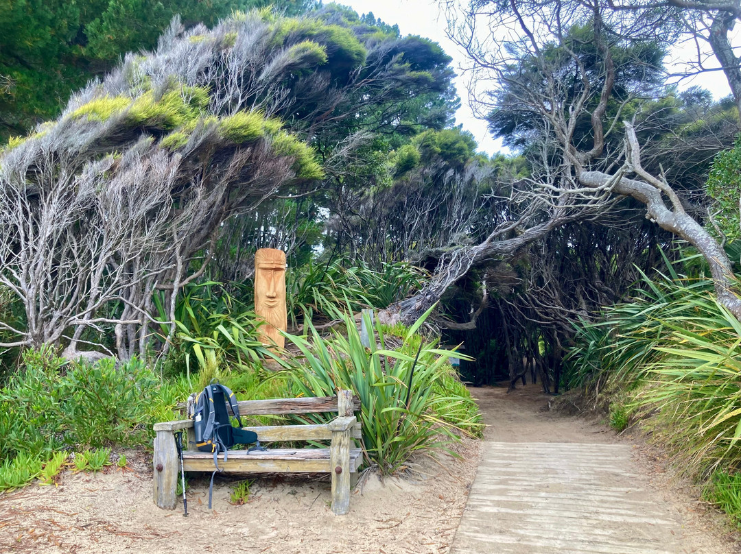 Abel Tasman Guides-玛拉豪必去景点