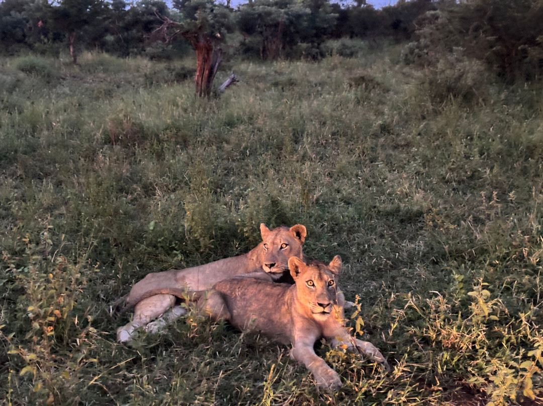 Honey Badger Safaris Kruger Tours-玛洛斯帕克必去景点