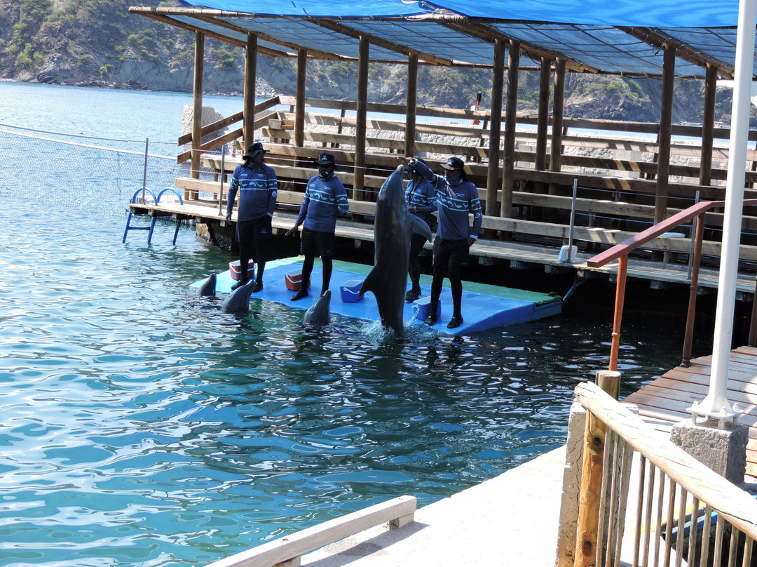 Acuario Mundo Marino-圣玛尔塔必去景点