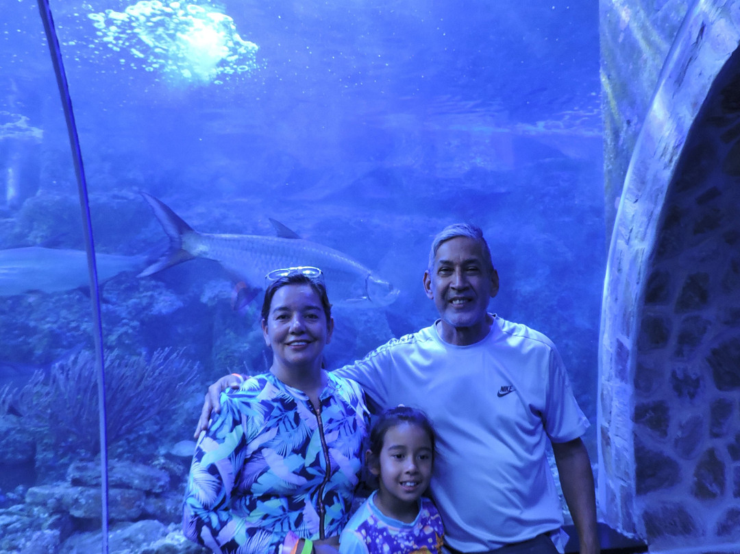 Acuario Mundo Marino-圣玛尔塔必去景点