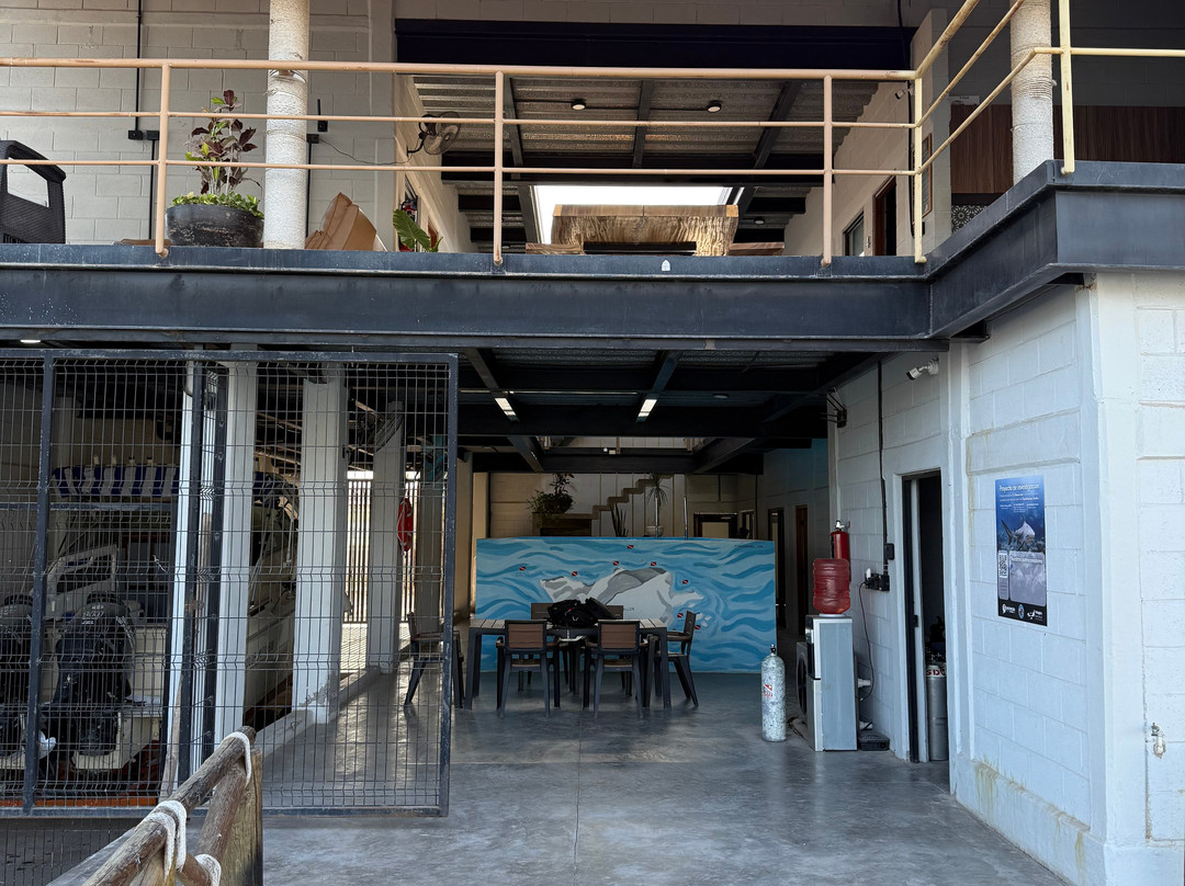 Sealion Dive Center-Los Mochis必去景点