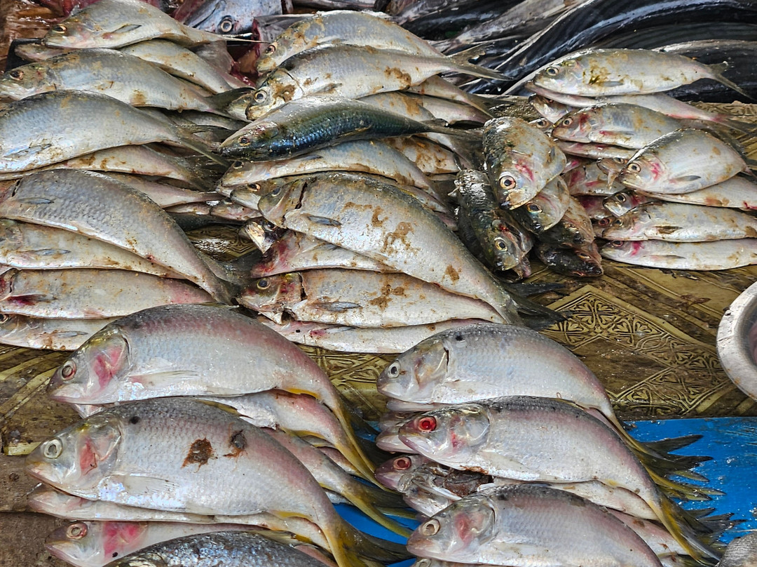 Dakar/Mbour/Sine Saloum, Senegal-莫布瓦必去景点