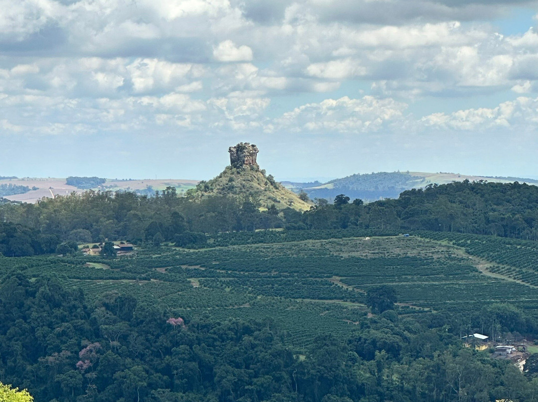 Fazenda Sao Joao-Ribeirao Claro必去景点