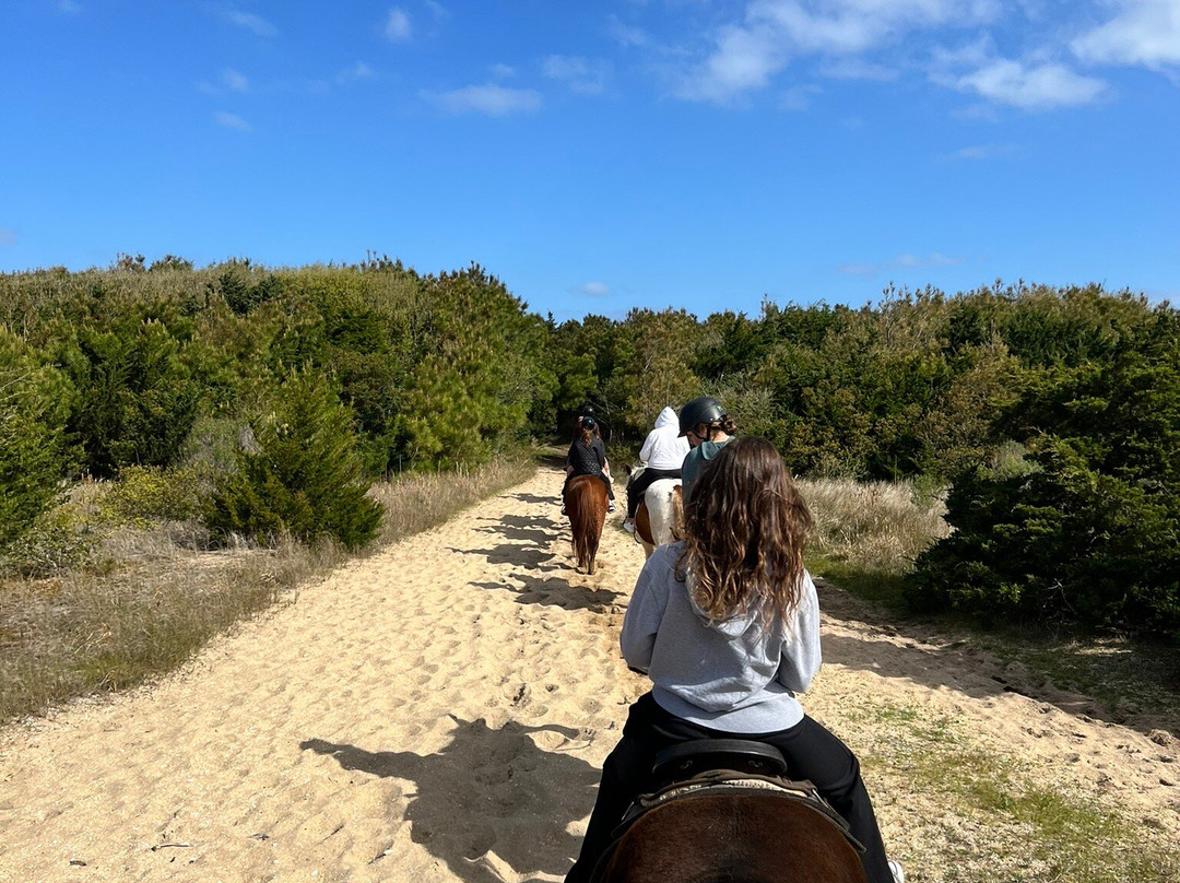 Equine Adventures-Frisco必去景点