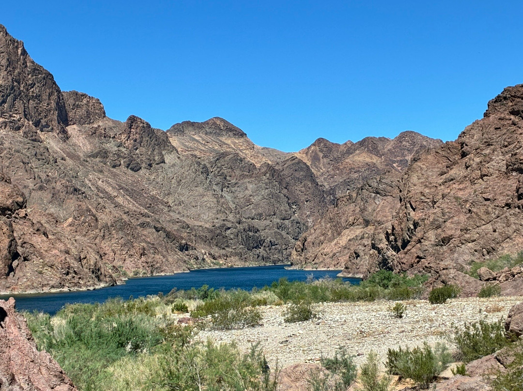 Desert River Outfitters-Bullhead City必去景点