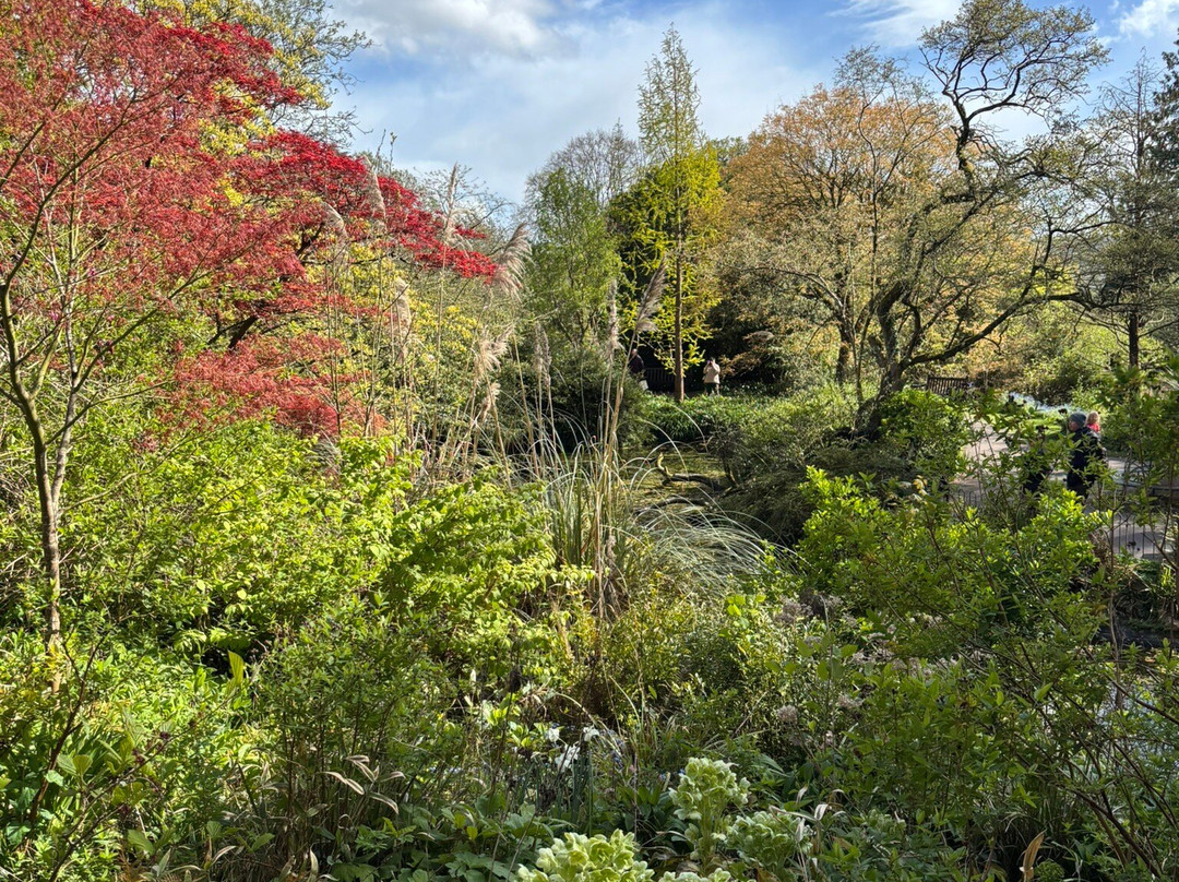 Botanical Gardens at Victoria Park-巴斯必去景点