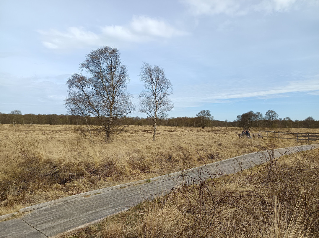 Ewiges Meer-Dornum必去景点