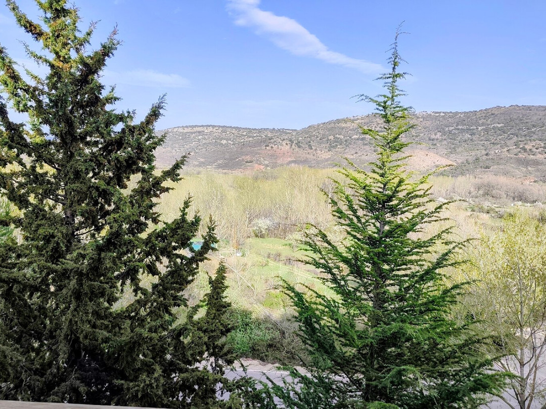 Hostería de Cañete主图