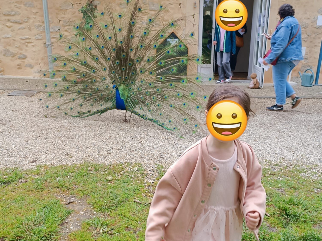 Alice au pays des Paons-阿维桑必去景点