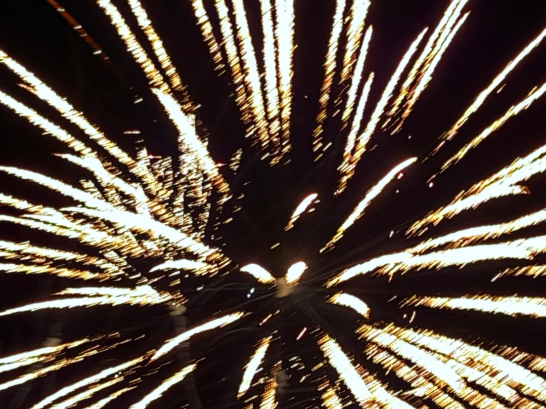 Fun Over Fifty-布里斯班必去景点