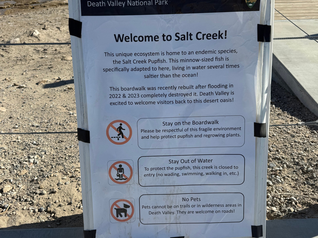 Salt Creek Interpretive Trail-死亡谷国家公园必去景点