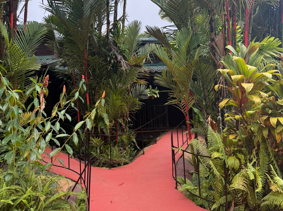 Blue River Resort & Hot Springs主图