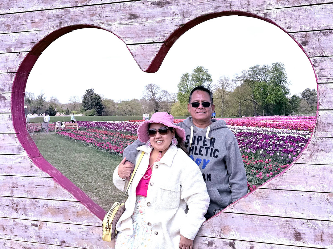 Tulleys Tulip Fields - Hertfordshire-圣奥尔本斯必去景点