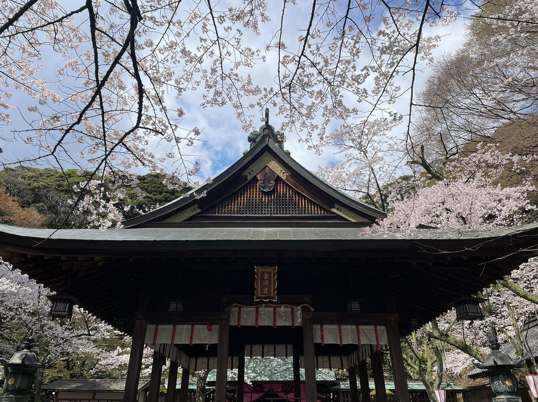 Kanegasakigu Shrine-敦贺市必去景点