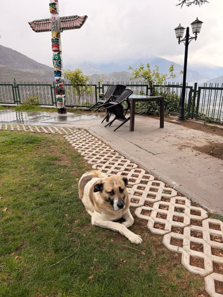 Koru Boutique酒店-旅行者