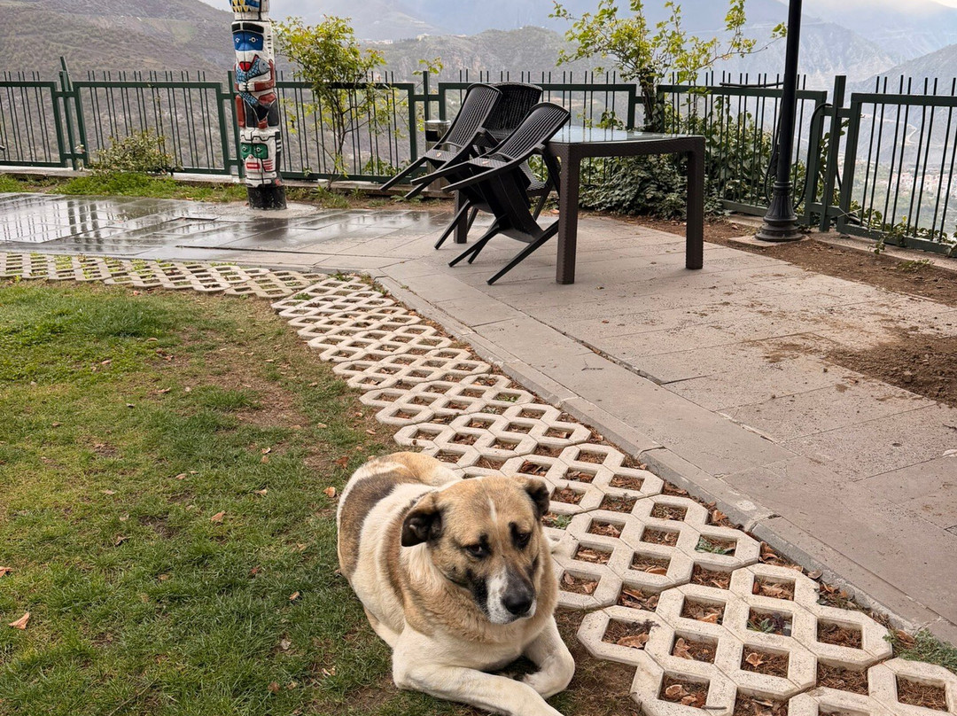 Koru Boutique酒店主图