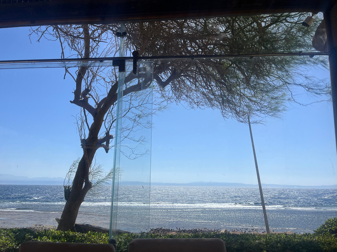 达哈卜天堂酒店主图