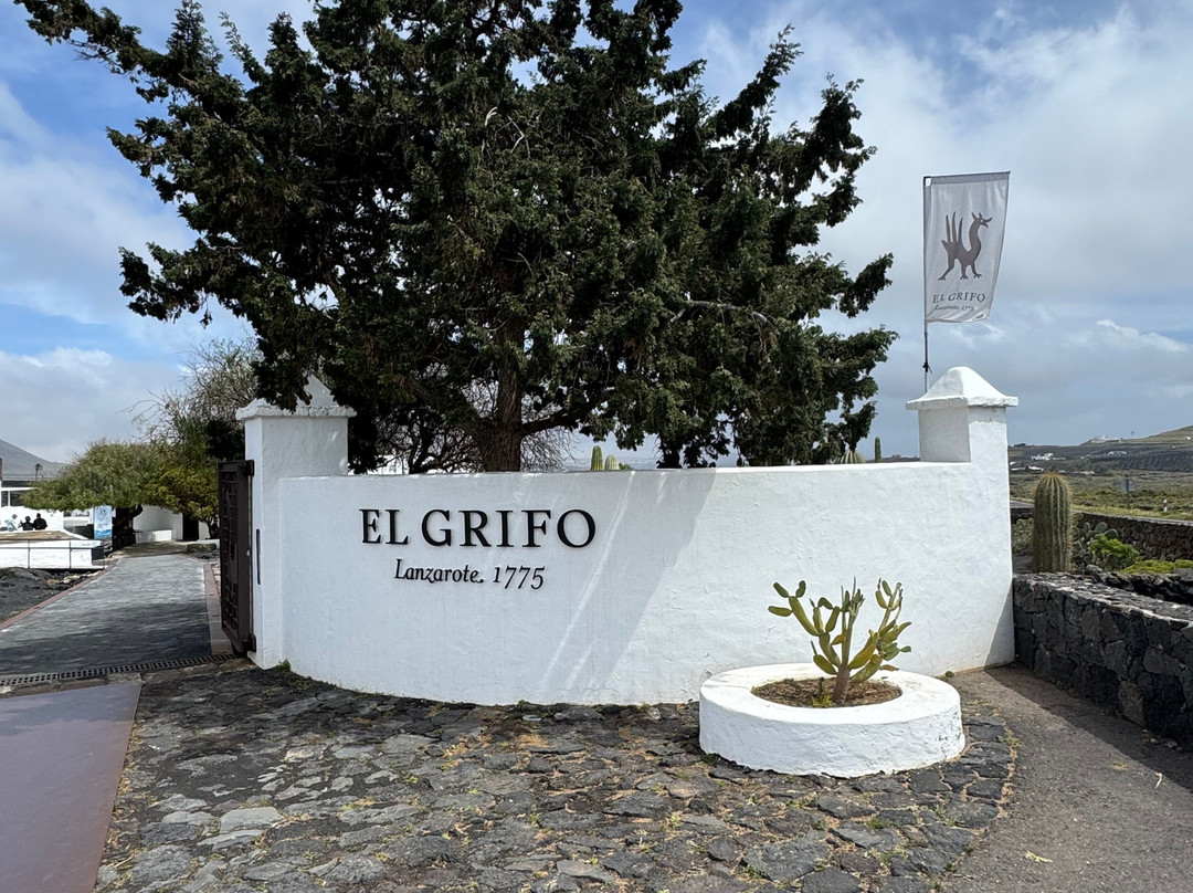 El Grifo - Museo del Vino-San Bartolome必去景点