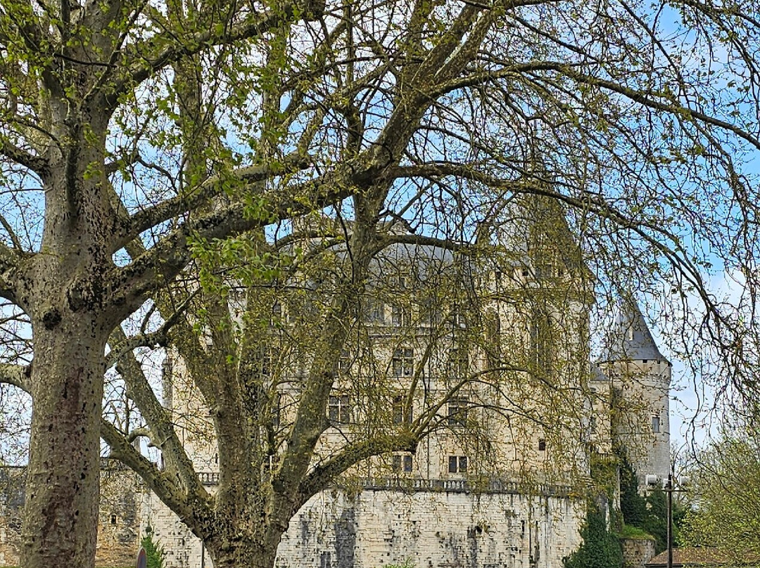 Château de La Rochefoucauld-La Rochefoucauld必去景点
