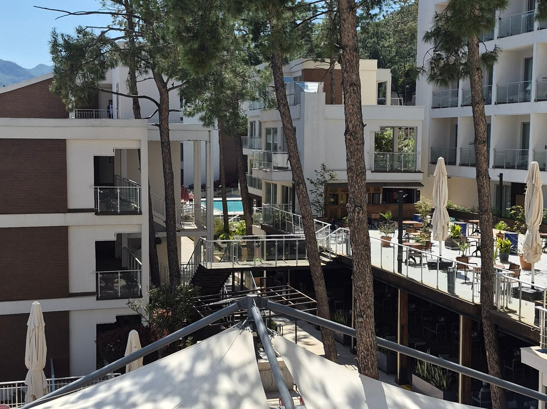 欧尔克莲海滩森蒂多酒店主图