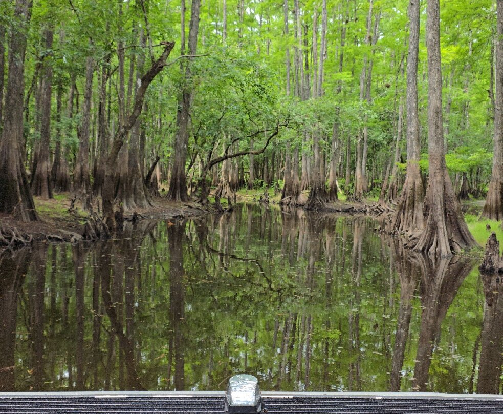 Backwoods Airboat Adventures-Christmas必去景点