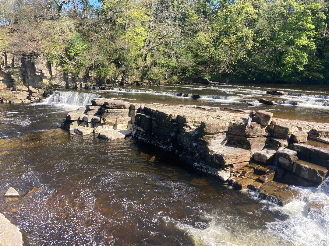 Richmond Falls