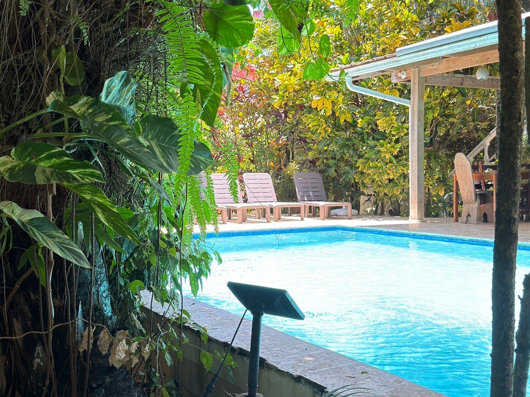 Surfbreak Cabarete B&B Surf And Yoga主图