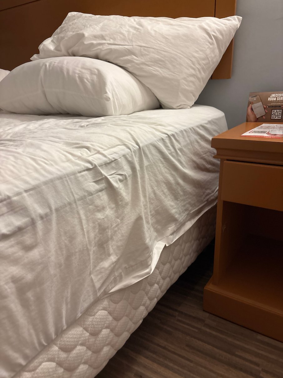 会展中心阿莱扎帕尔米拉酒店-旅行者