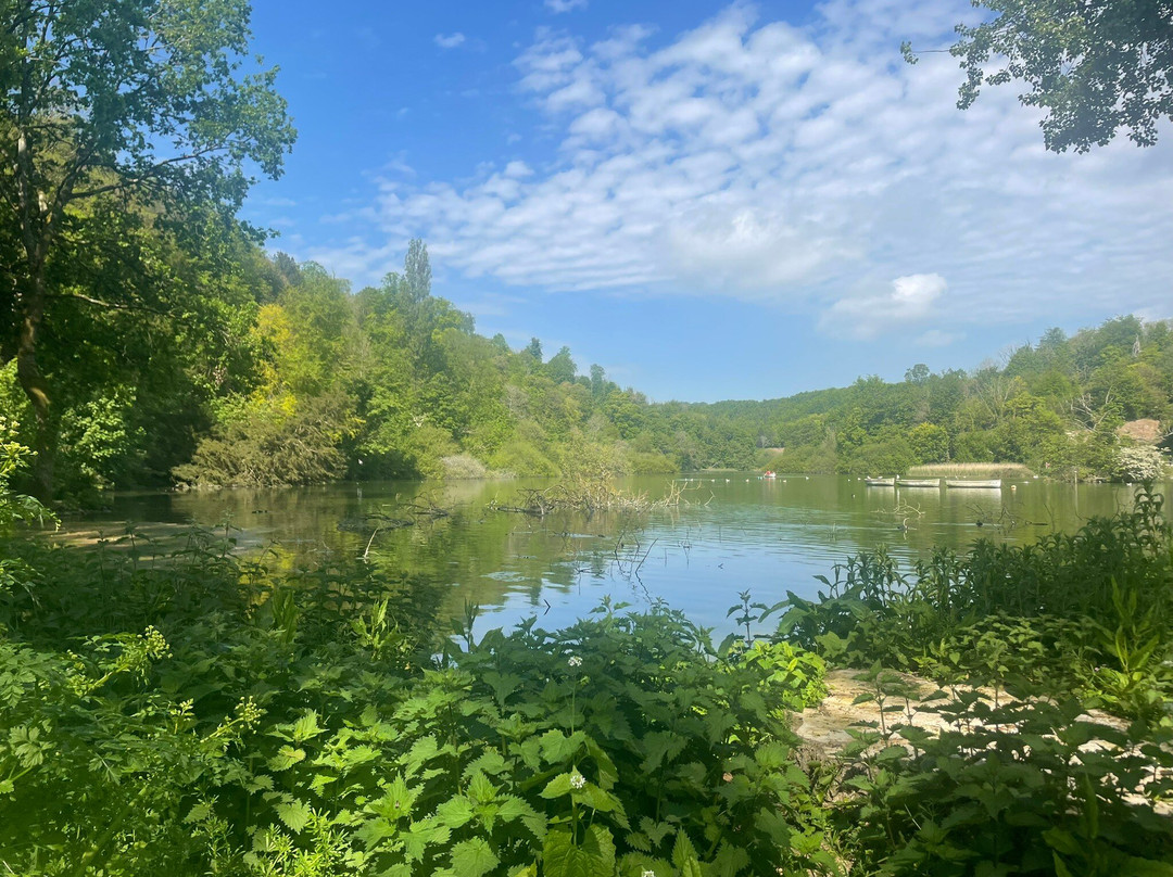 Swanbourne Lake-阿伦德尔必去景点