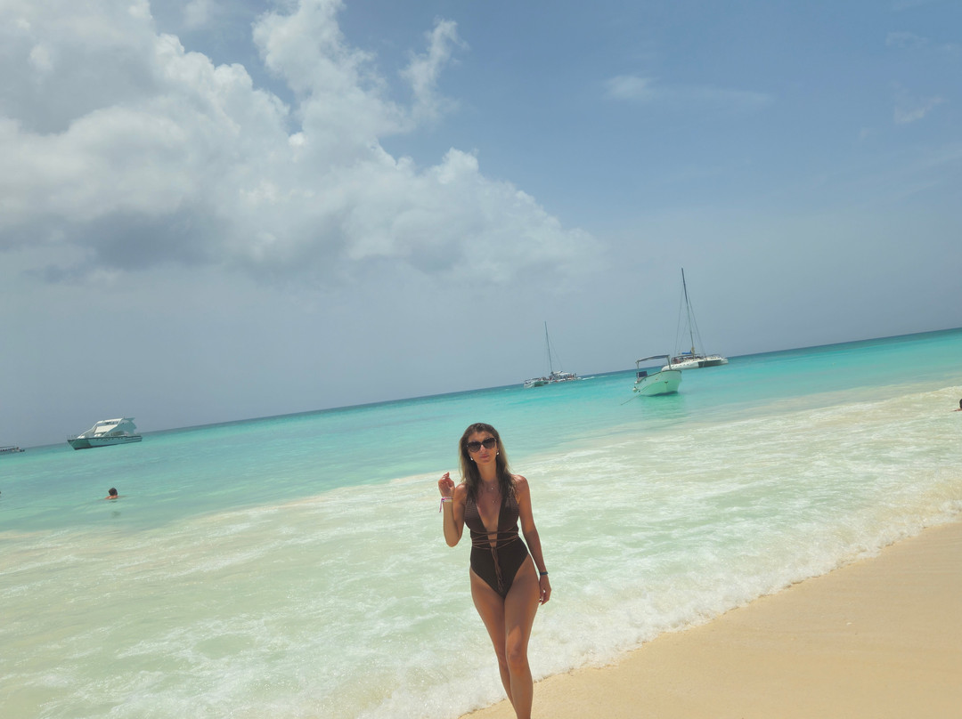 Saona Island-La Altagracia Province必去景点