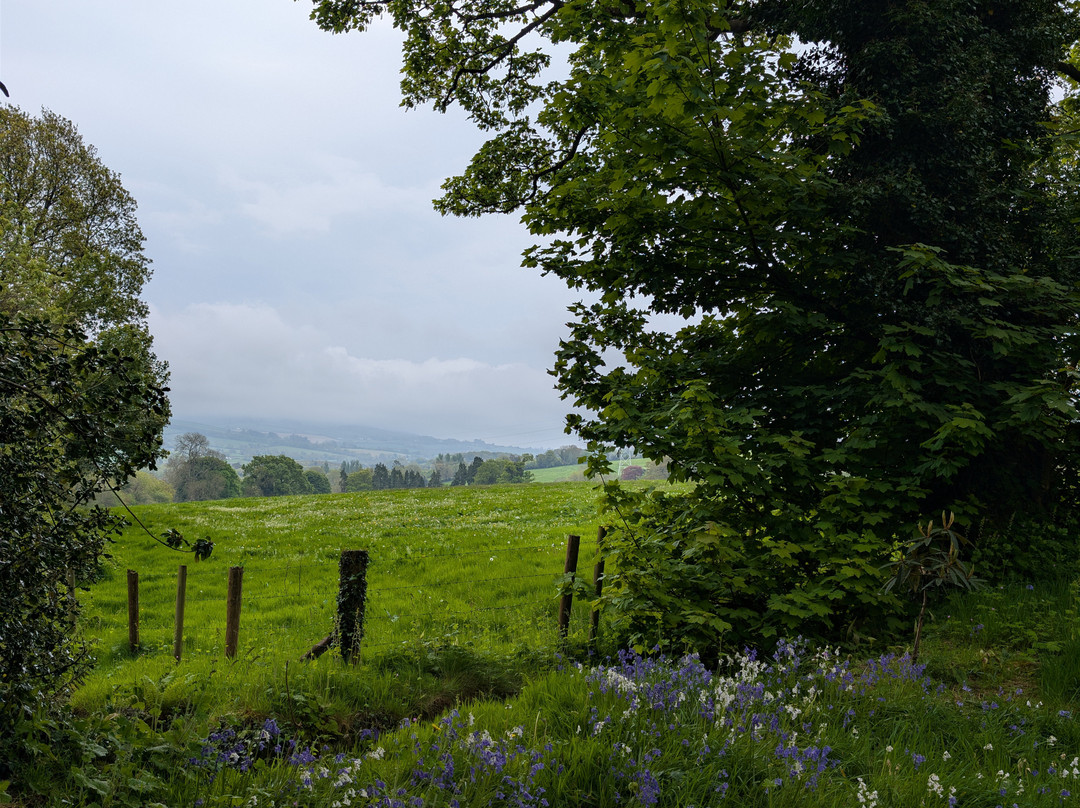 National Botanic Gardens, Kilmacurragh-County Wicklow必去景点