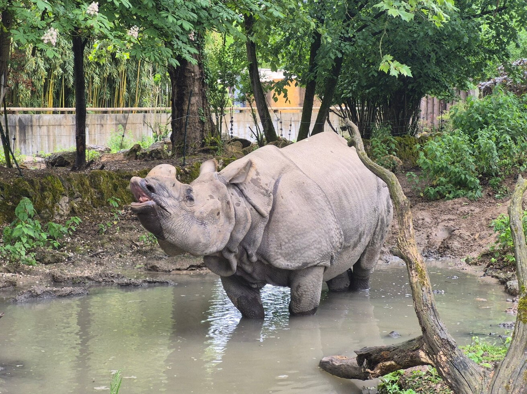 Touroparc Zoo-Romaneche-Thorins必去景点