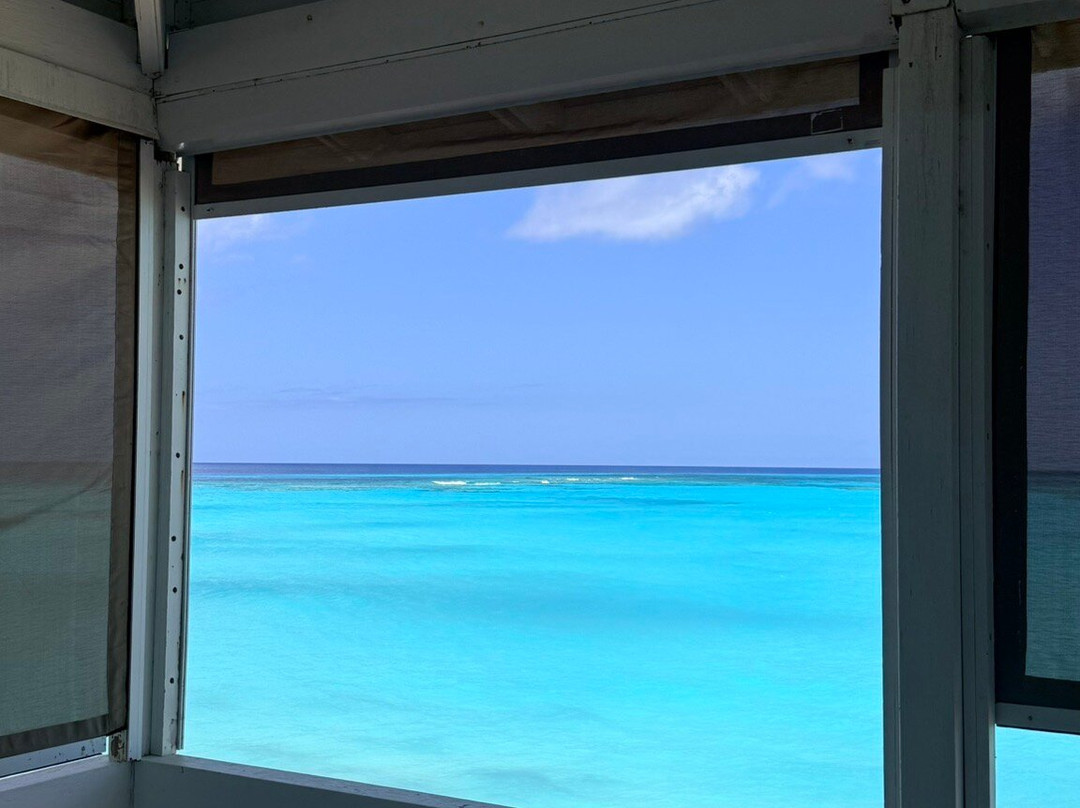 Only Blue Diving Dreams-Cockburn Town必去景点