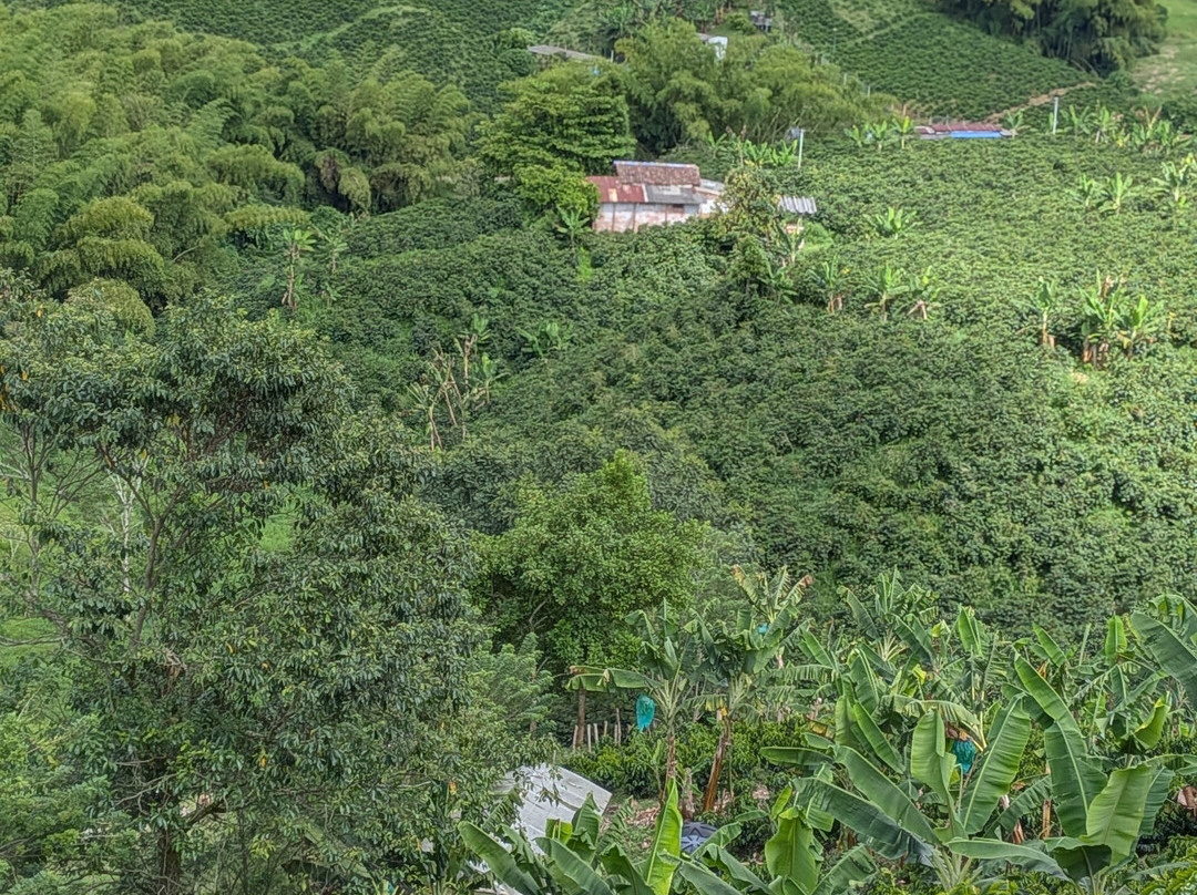 Eje Cafetero Ruta Campesina-Chinchina必去景点
