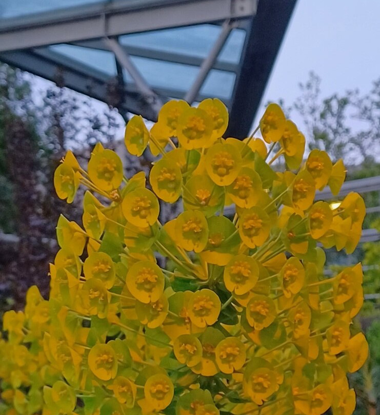 碧根山公园-维多利亚必去景点