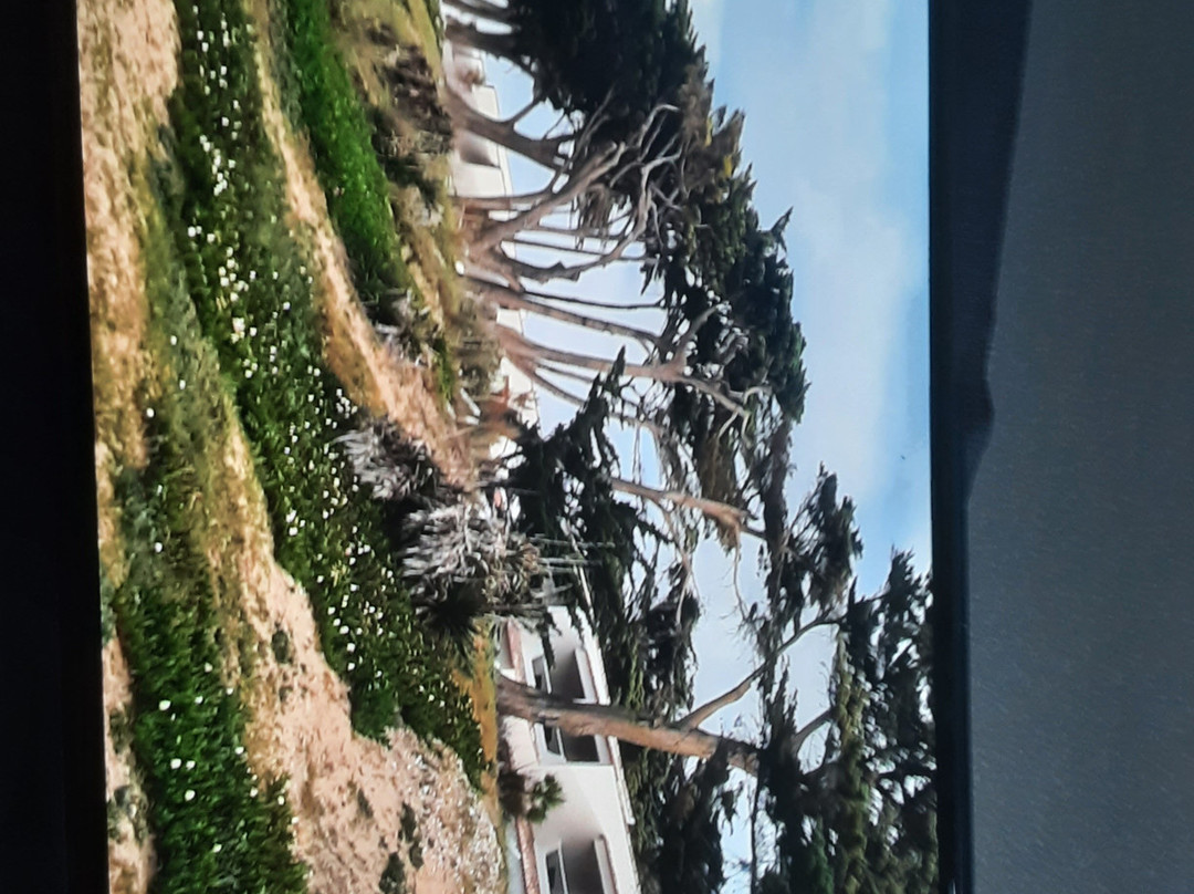 Hotel Punta Lara Noirmoutier主图