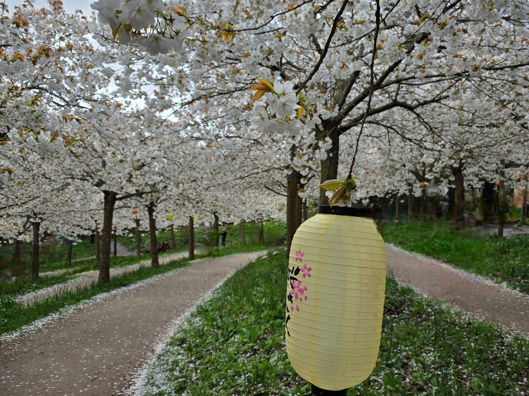The Alnwick Garden-阿尼克必去景点
