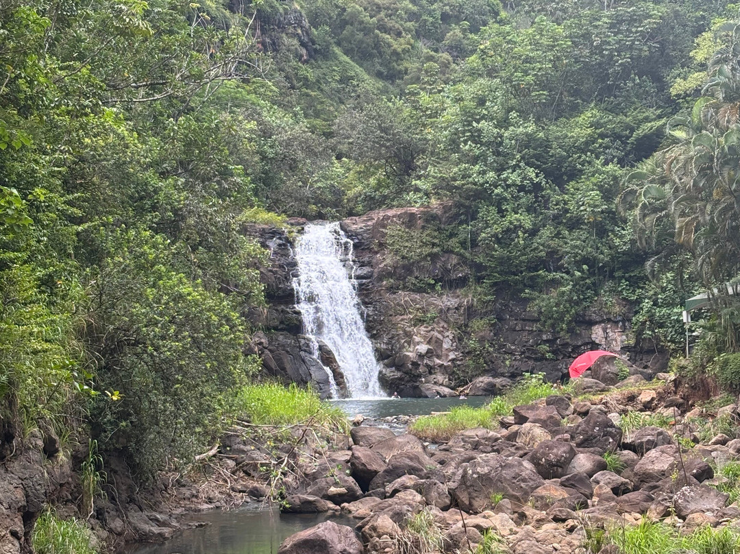威美亚山谷-哈雷瓦必去景点