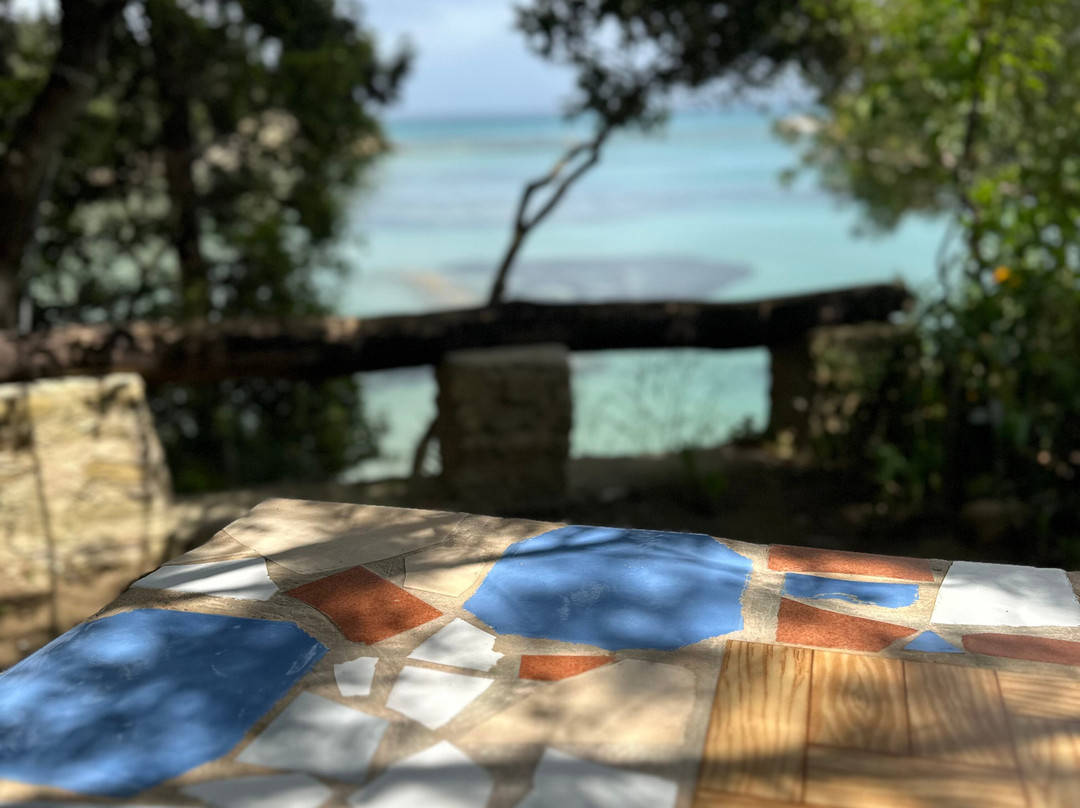 Captain Homer's Boat Trips-Messonghi必去景点