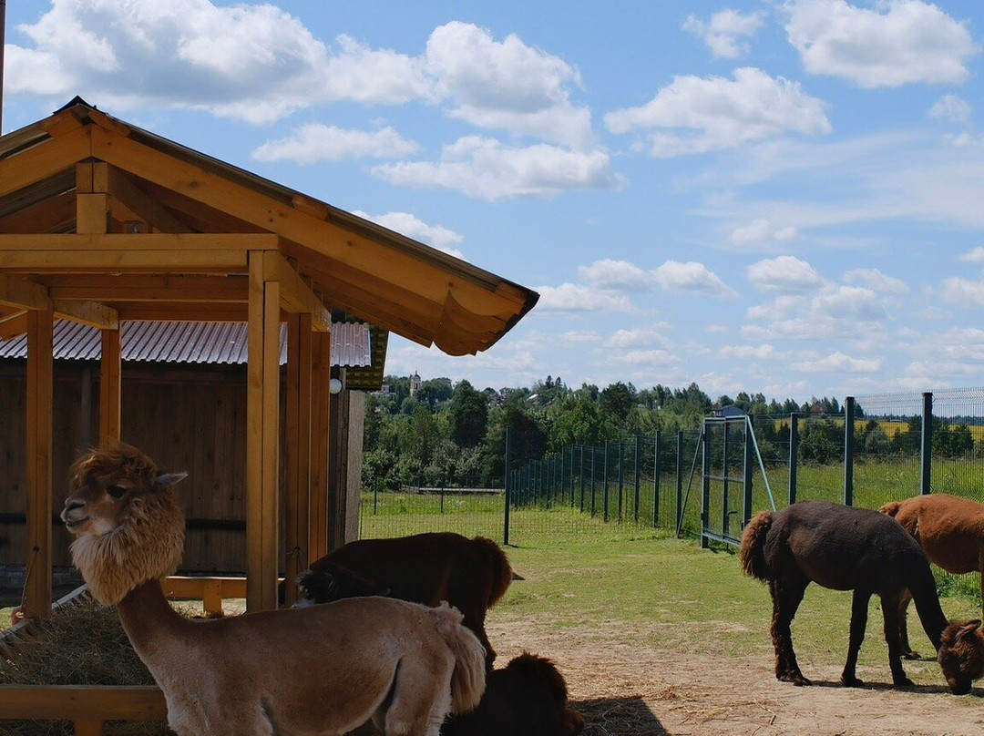 Russian Alpaca Farm-Pokhodkino必去景点
