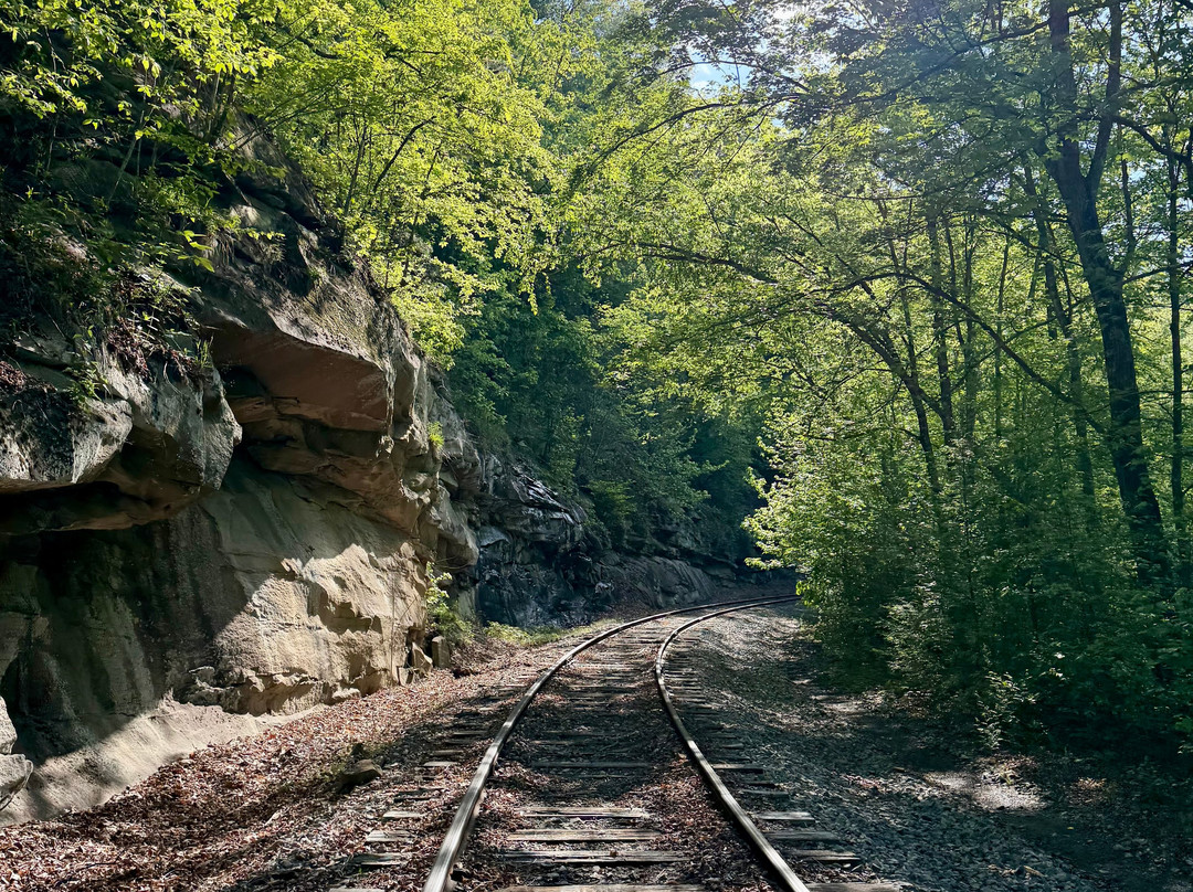 Rail Explorers: Elk River Division-Clay必去景点