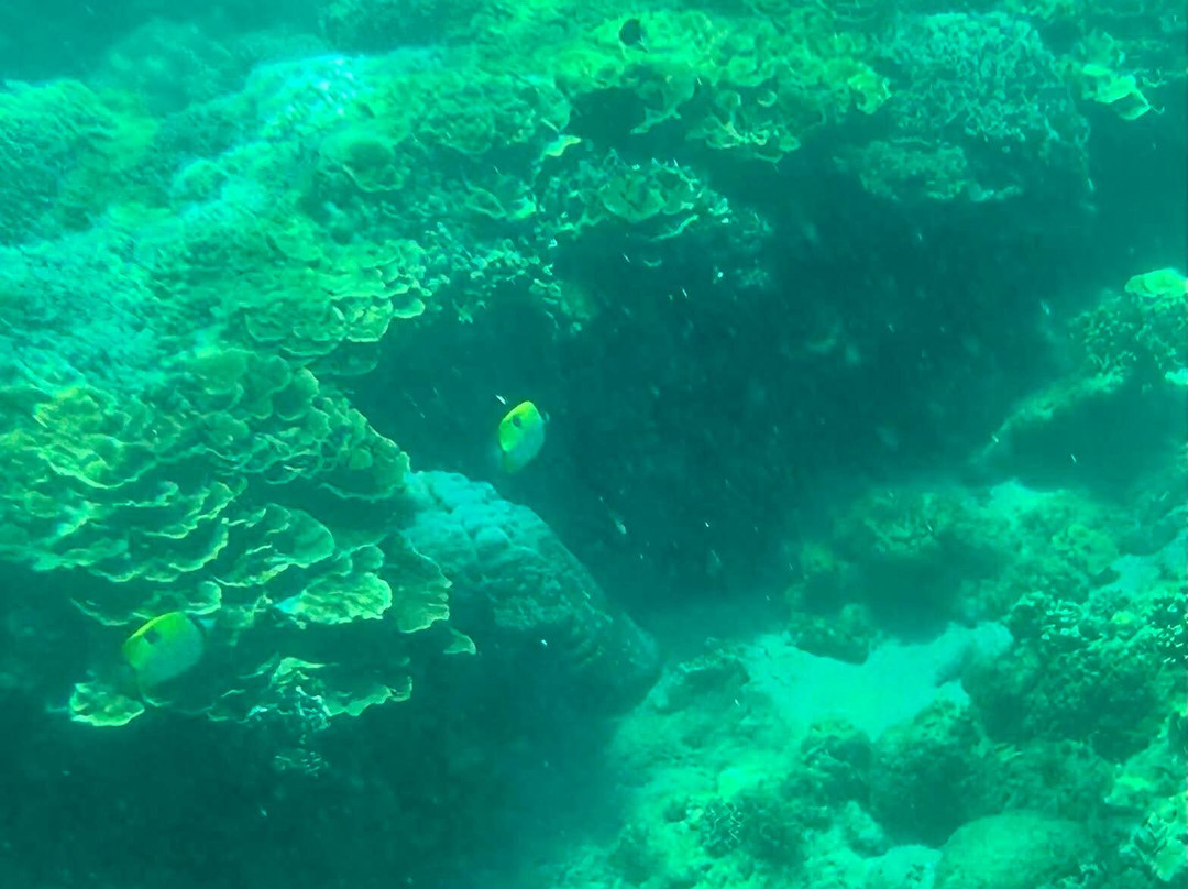 比维瑞蓝色海岸度假村主图