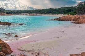 Spiaggia Rosa-Budelli必去景点