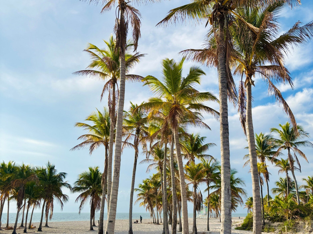 Crandon Beach-比斯坎湾必去景点