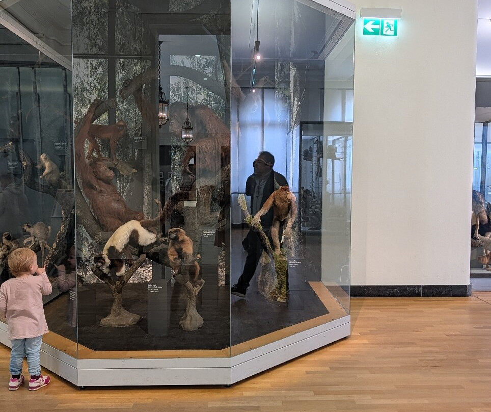 Museum Koenig-波恩必去景点
